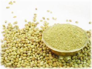 Indian Coriander Powder