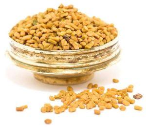 indian fenugreek seeds