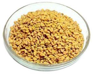 Premium Fenugreek Seeds