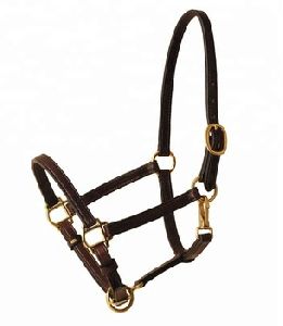 Leather Halter