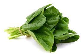 Fresh Spinach Leaves