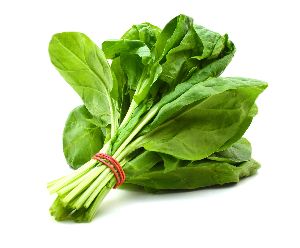 Green Spinach Leaves