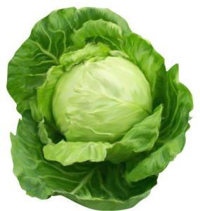 Organic Cabbage