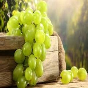 Fresh Grapes