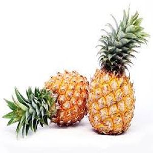 Fresh Pineapple