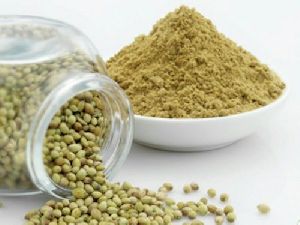 Dried Coriander Powder