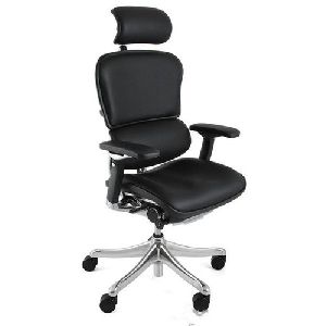 Ergonomic Lumbar Support Chair