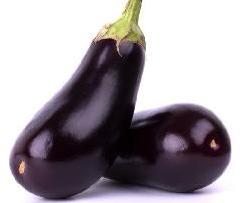 Fresh Natural Brinjal