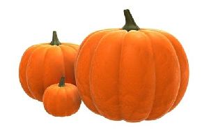 Fresh Natural Pumpkin