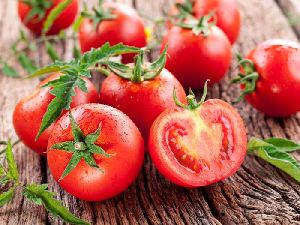 Fresh Natural Tomato