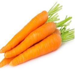 Fresh Orange Carrot