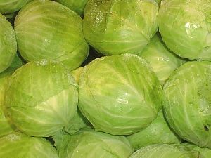 Fresh Organic Cabbage