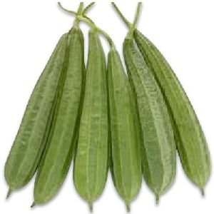 Fresh Sponge Gourd