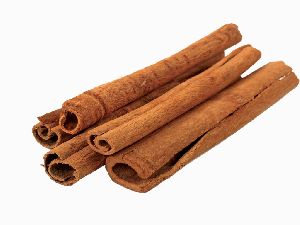 Cinnamon Stick