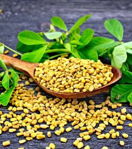 Fenugreek Seeds