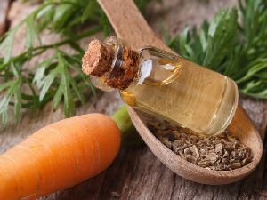 Organic Carrot Seed Oil