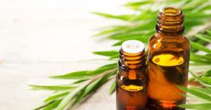 organic tea tree oil