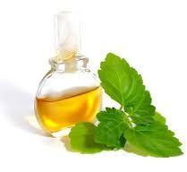 Patchouli Oil