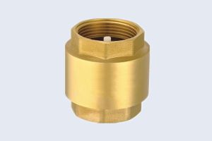 BRASS SPRING CHECK VALVE WITH PLASTIC DISC