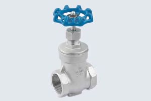 Stainless Steel Gate Valve