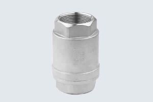 STAINLESS STEEL SPRING CHECK VALVE