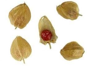 Ashwagandha Seeds