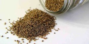 Celery Seeds