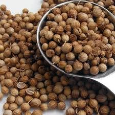 Coriander Seeds