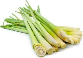 Fresh Lemongrass