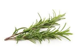 Rosemary Leaves