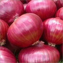 Nashik Fresh Red Onion