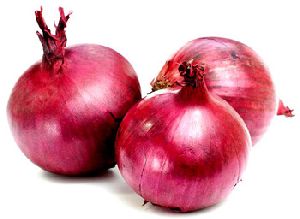 Onion Essential Oil