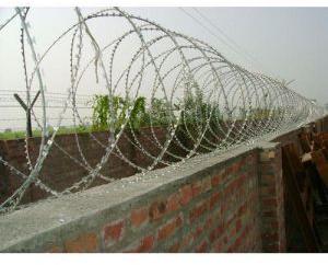 Iron Concertina Wire