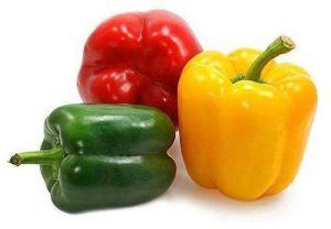 Fresh Capsicum