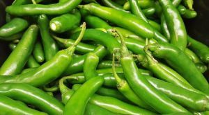 Fresh Green Chilli