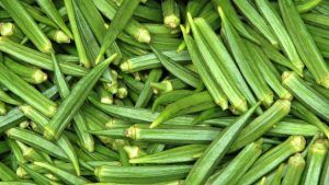 Fresh Okra