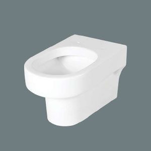 Roton Wall Hung Toilet