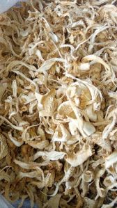 Dry Oyster Mushroom