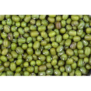 Indian Green Moong Dal