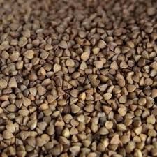 Buckwheat Seeds