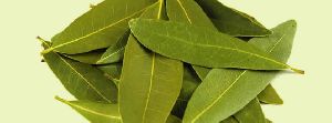 Bay Leaves