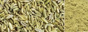 FENNEL SEEDS and POWDER