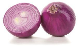 Onion