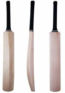 sheesham Cricket Bat