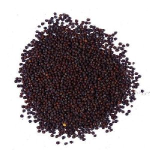 Organic Black Mustard Seeds