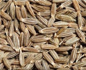 Raw Cumin Seeds