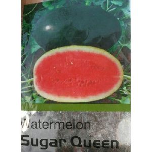 Sugar Queen Watermelon