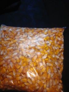 Grade A Yellow Corn / White Maize