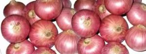 Fresh Red Onion