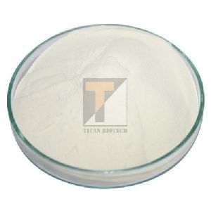 Collagen Peptides Powder